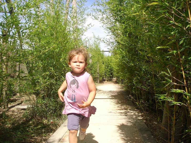 Parc des oiseaux (21)